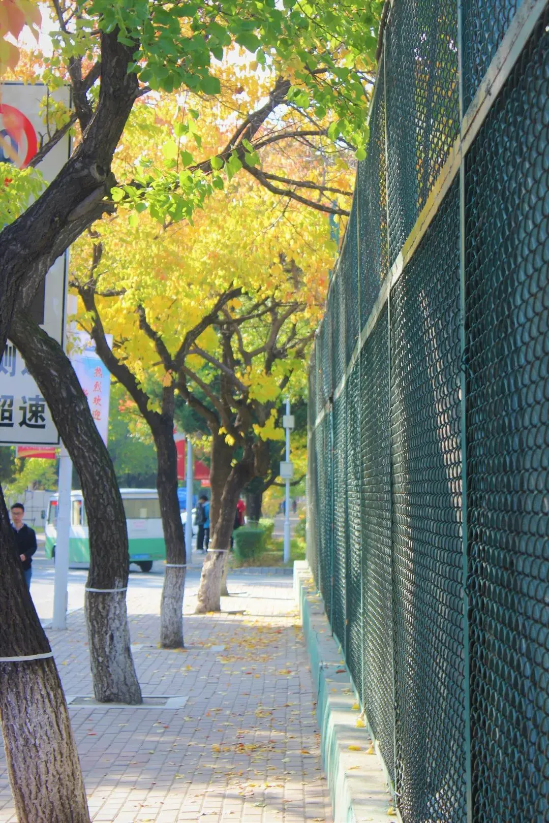 如何利用云平台进行篮球训练的效果评估_0